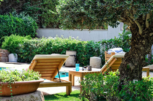 Summer Seating Reinvented: Discover Our Newest Summer Products