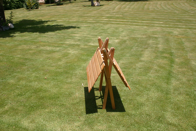 Butterfly (large only)